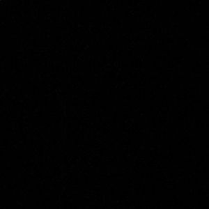 Meet your Posher, Faith